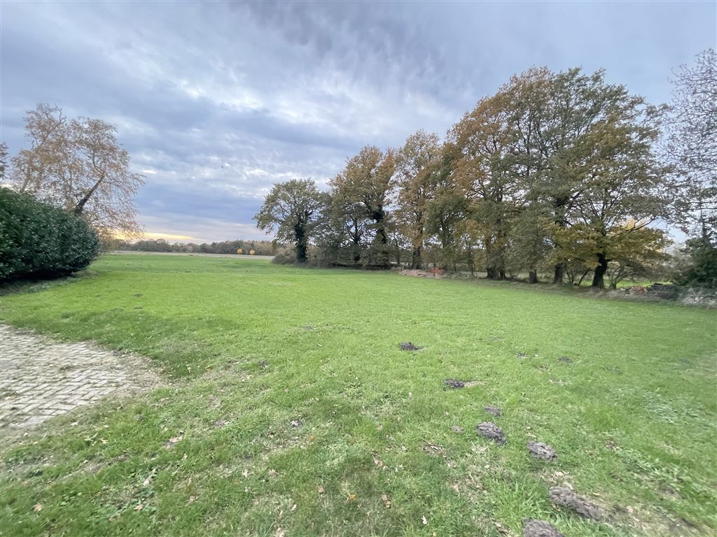 reizvolle Naturumgebung