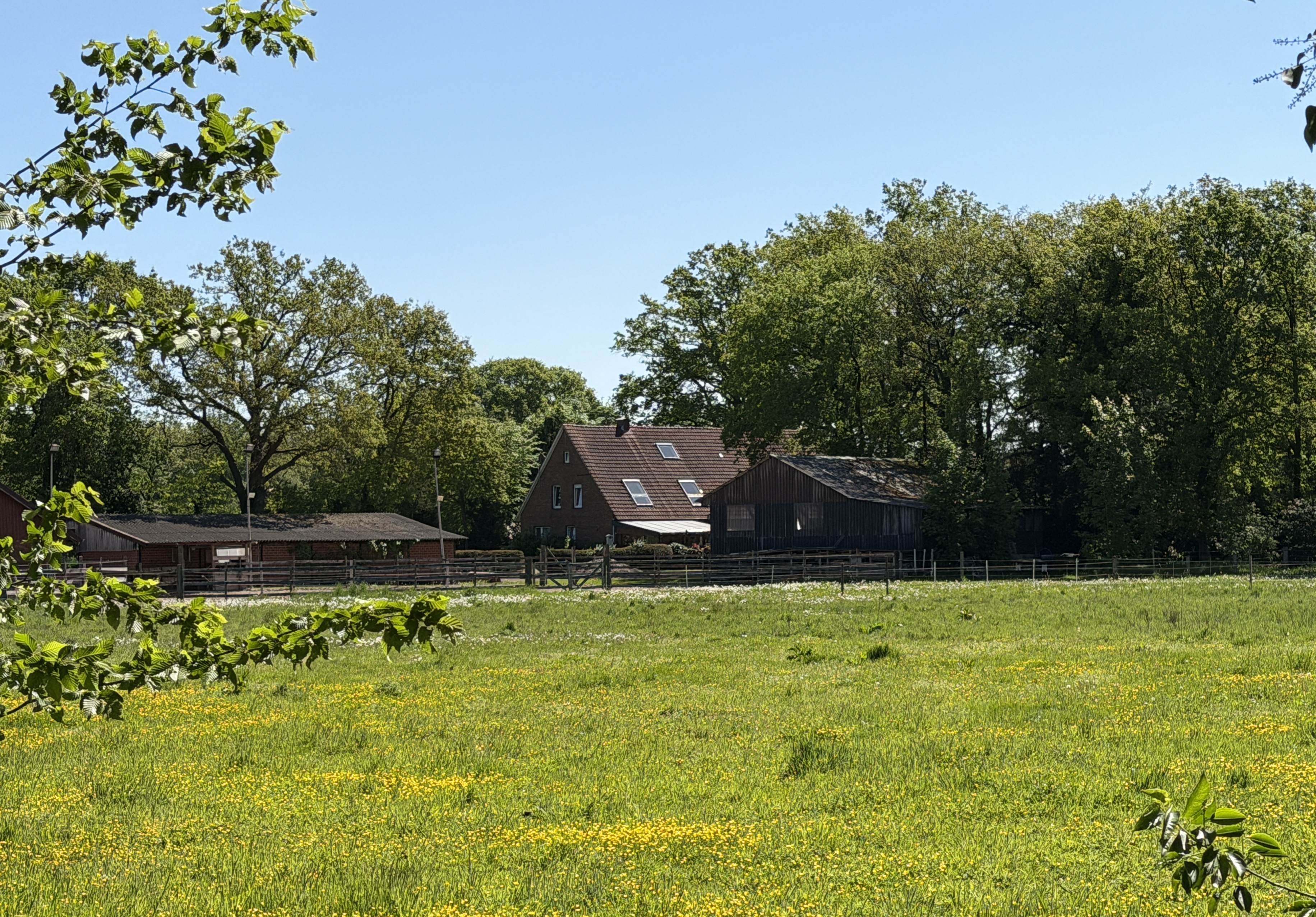 Blick über die Wiesen auf die Gebäude