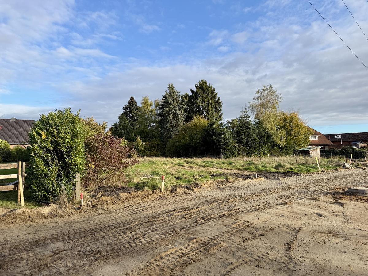 Blick auf das Baugrundstück. 