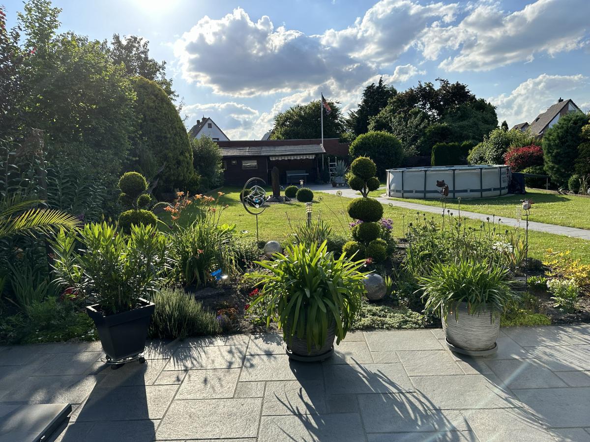 Blick in den Garten (Sommer, unbearbeitet)