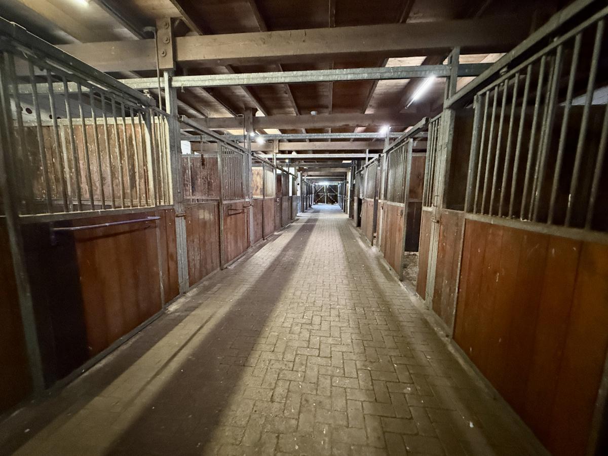 Stallgasse mit Boxen