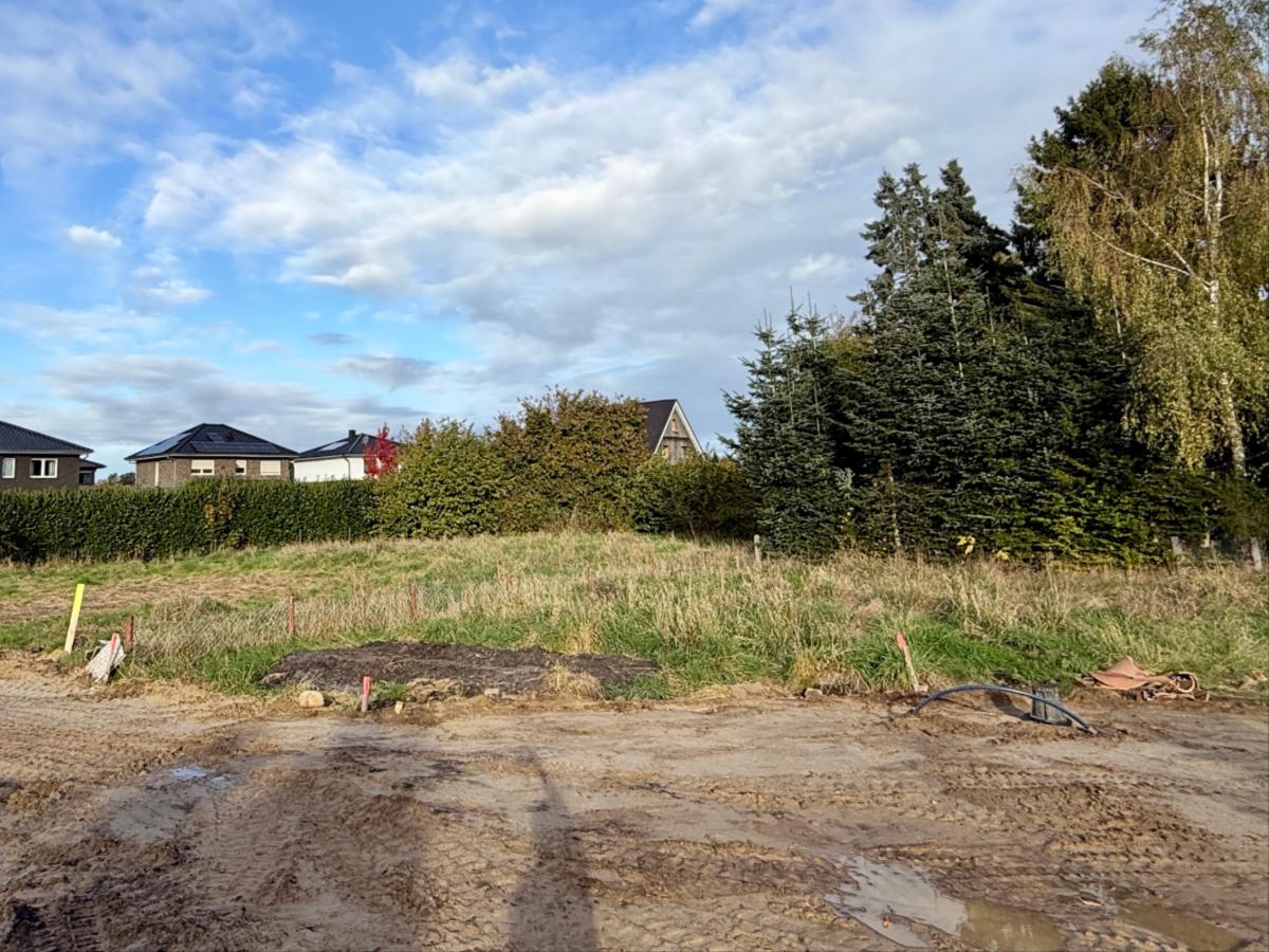 Blick auf das Baugrundstück