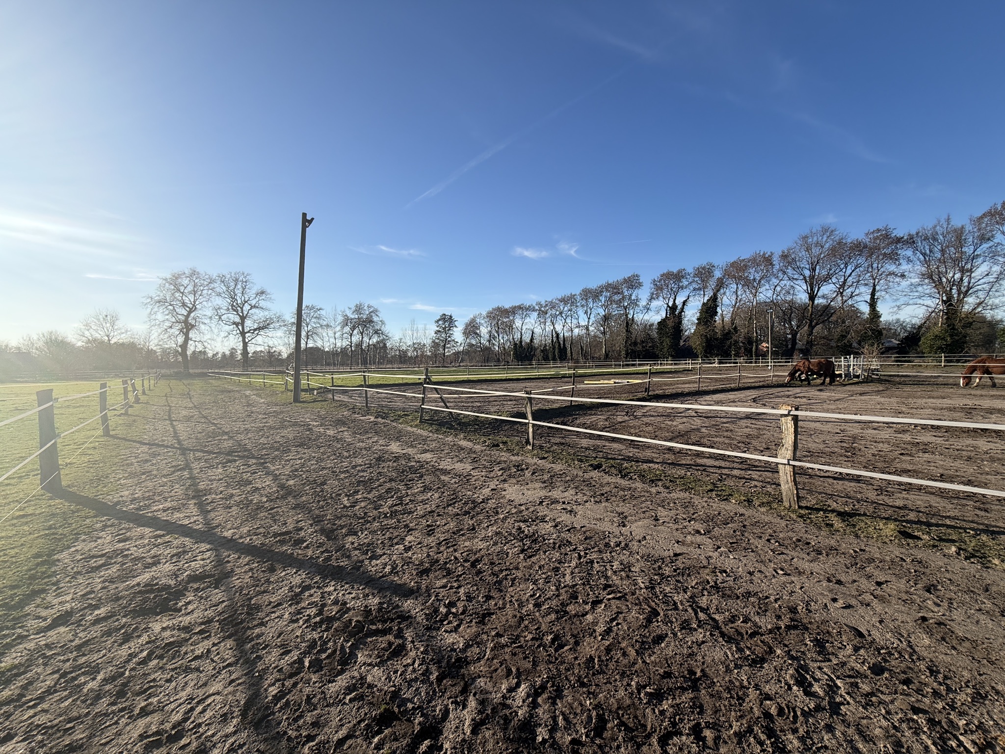 Paddocks, Longierzierkel, Reitplatz, Auslauf für Pferde