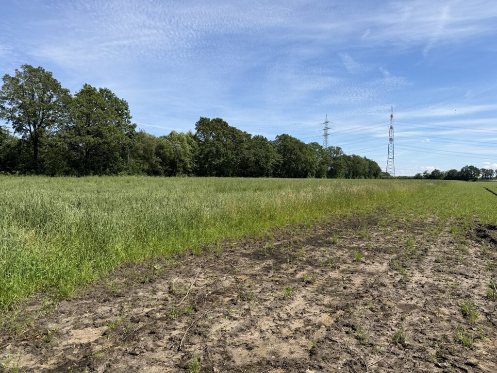 Ohne - 1,65 ha Ackerland in Ohne!