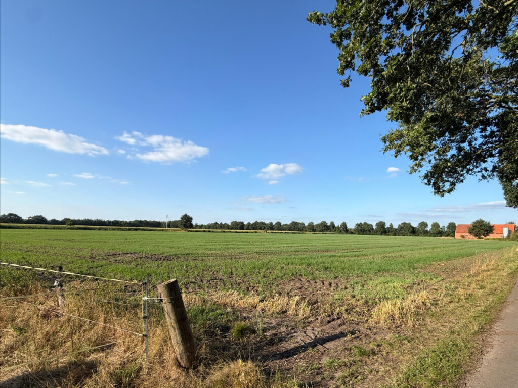 Nordhorn - Nordhorn-Hestrup: Ca. 7 ha Ackerland